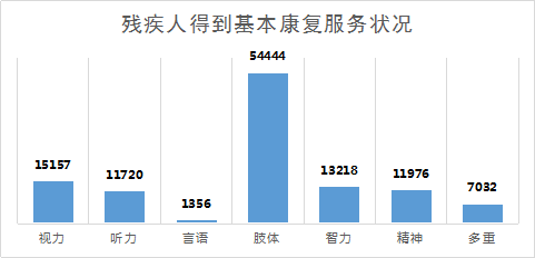 2017年全区残疾人事业发展统计公报(图1)