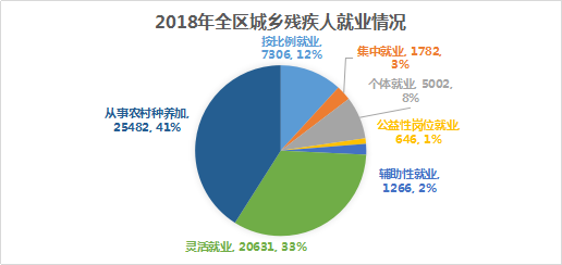 2018年全区残疾人事业发展统计公报(图3)