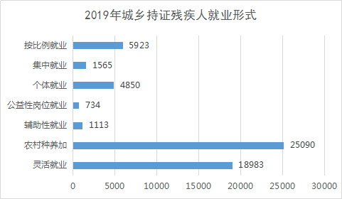 2019年全区残疾人事业统计公报(图2)